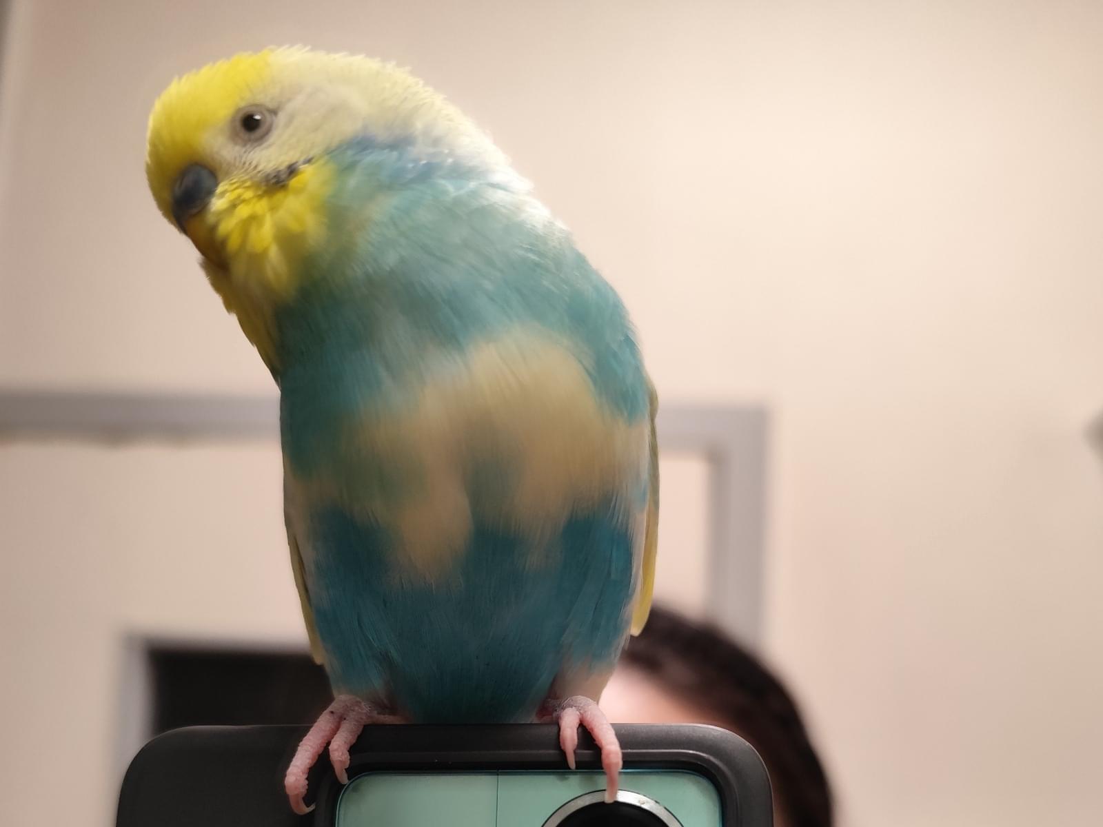 たっちゃん たっちゃん