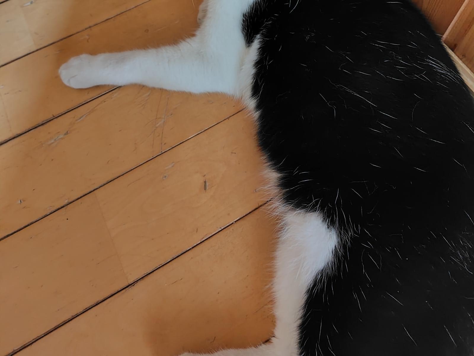 たっくんちゃん
