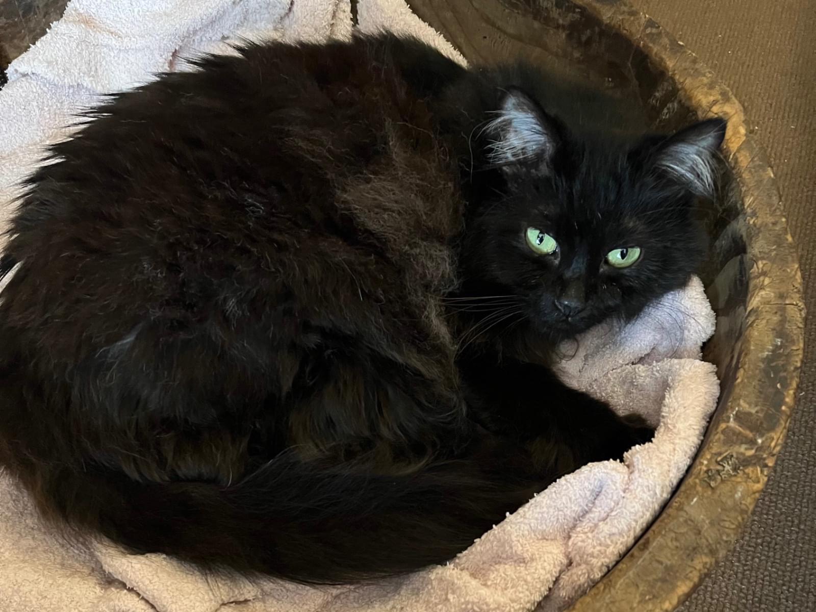 そゆちゃん そゆちゃん