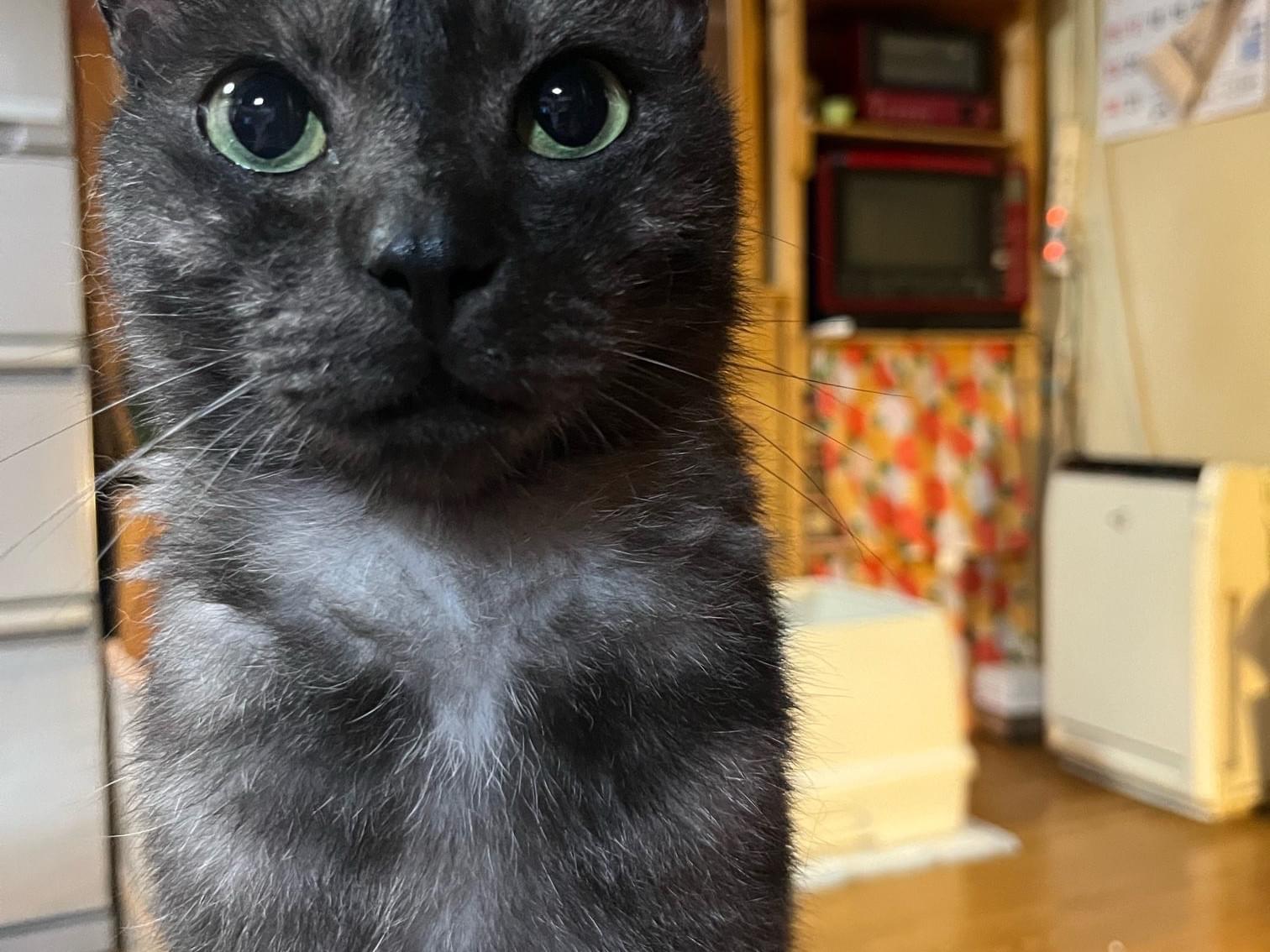 あまちゃん あまちゃん