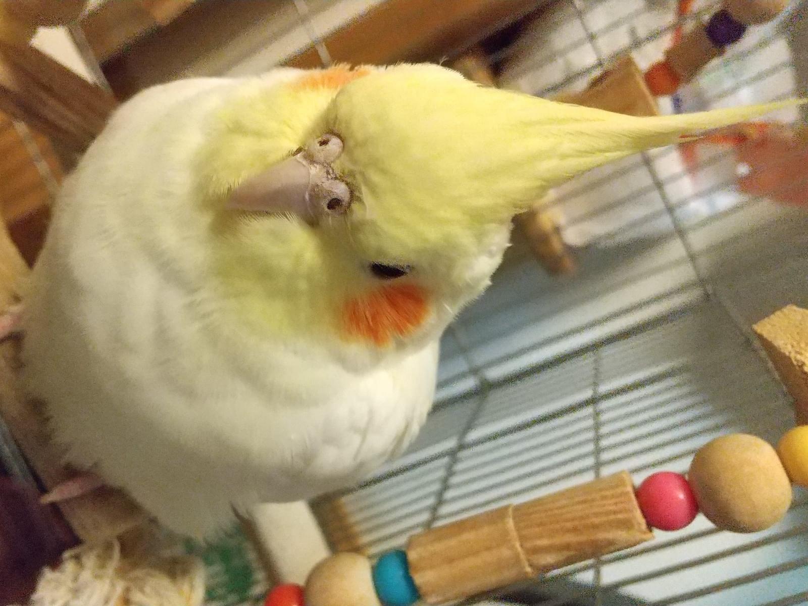 みかんちゃん みかんちゃん