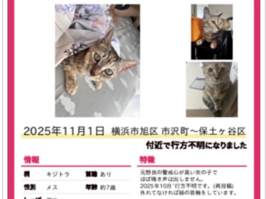 つつちゃん つつちゃん