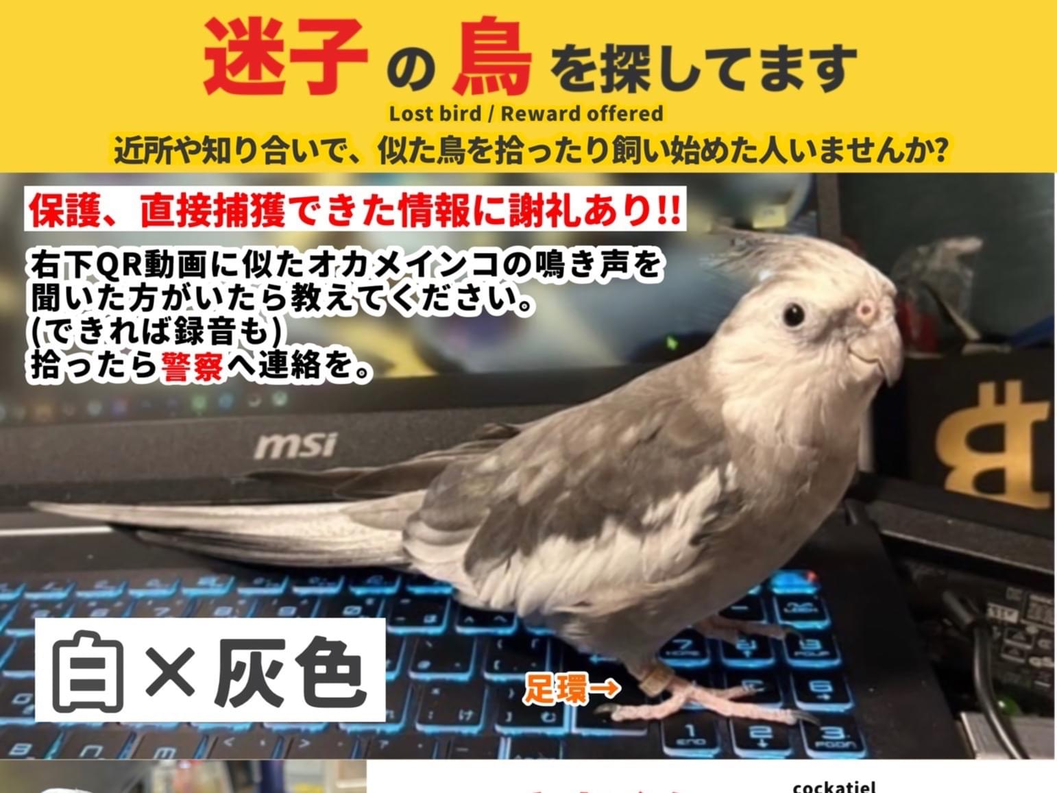 とあくんちゃん とあくんちゃん