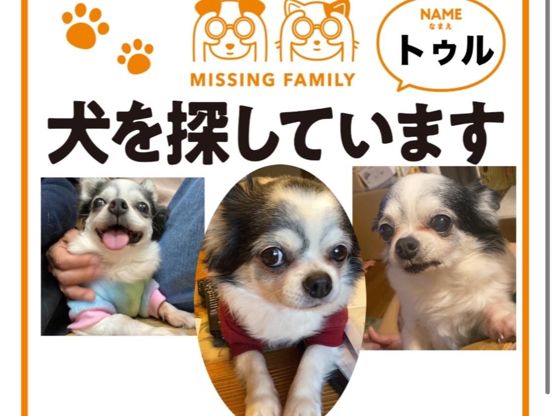 トゥルちゃん トゥルちゃん