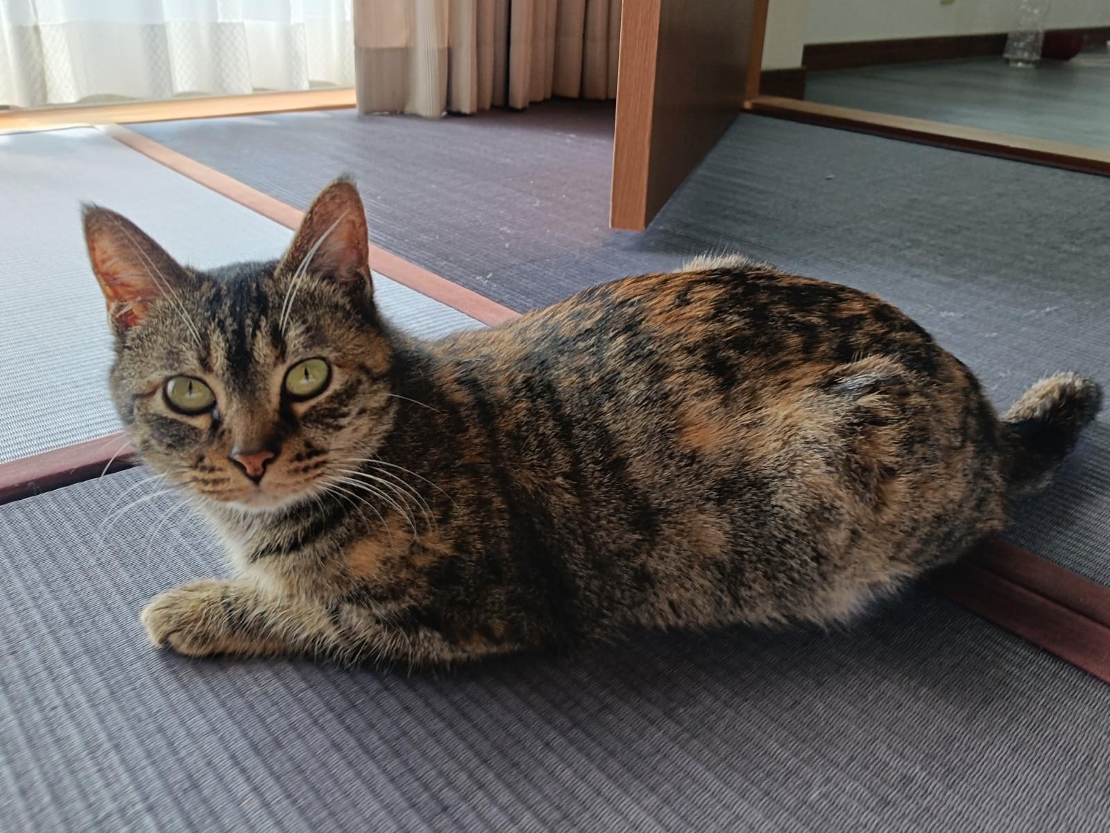 メイちゃん メイちゃん