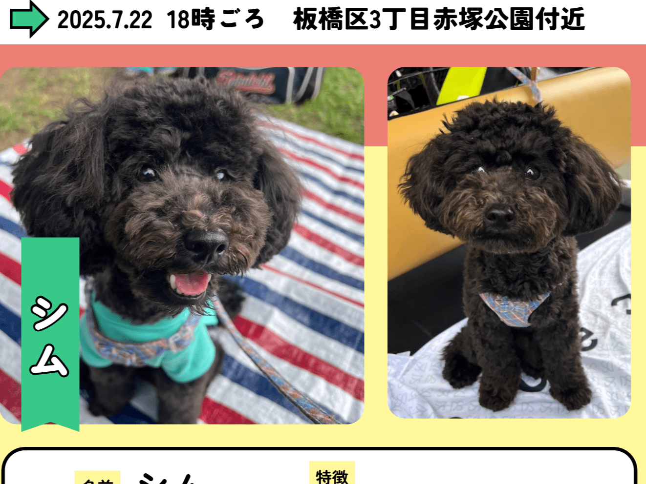シムちゃん シムちゃん