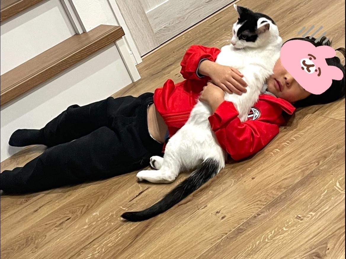 ピッピちゃん ピッピちゃん