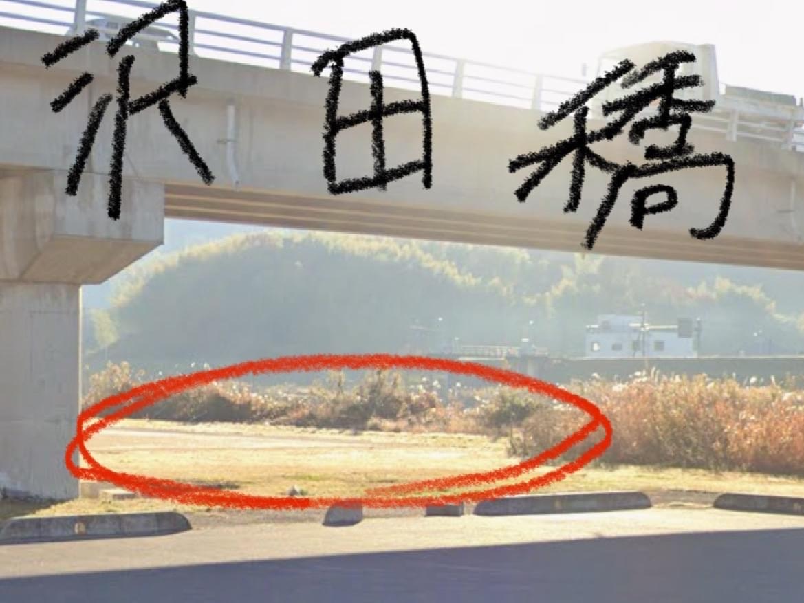 目撃された犬 目撃された犬
