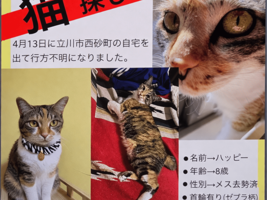 ハッピーちゃん