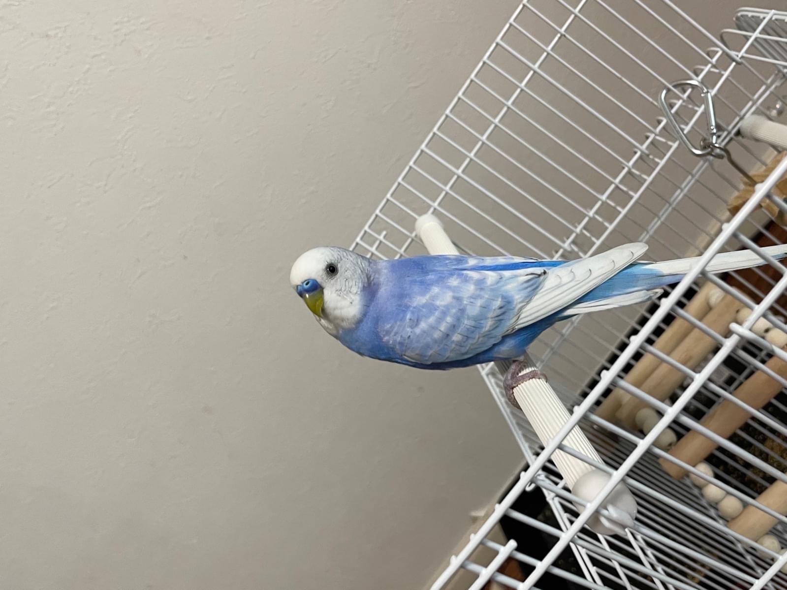 サんちゃん サんちゃん