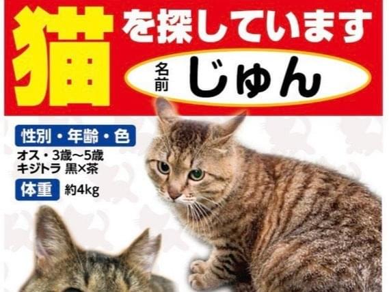 じゅんちゃん じゅんちゃん