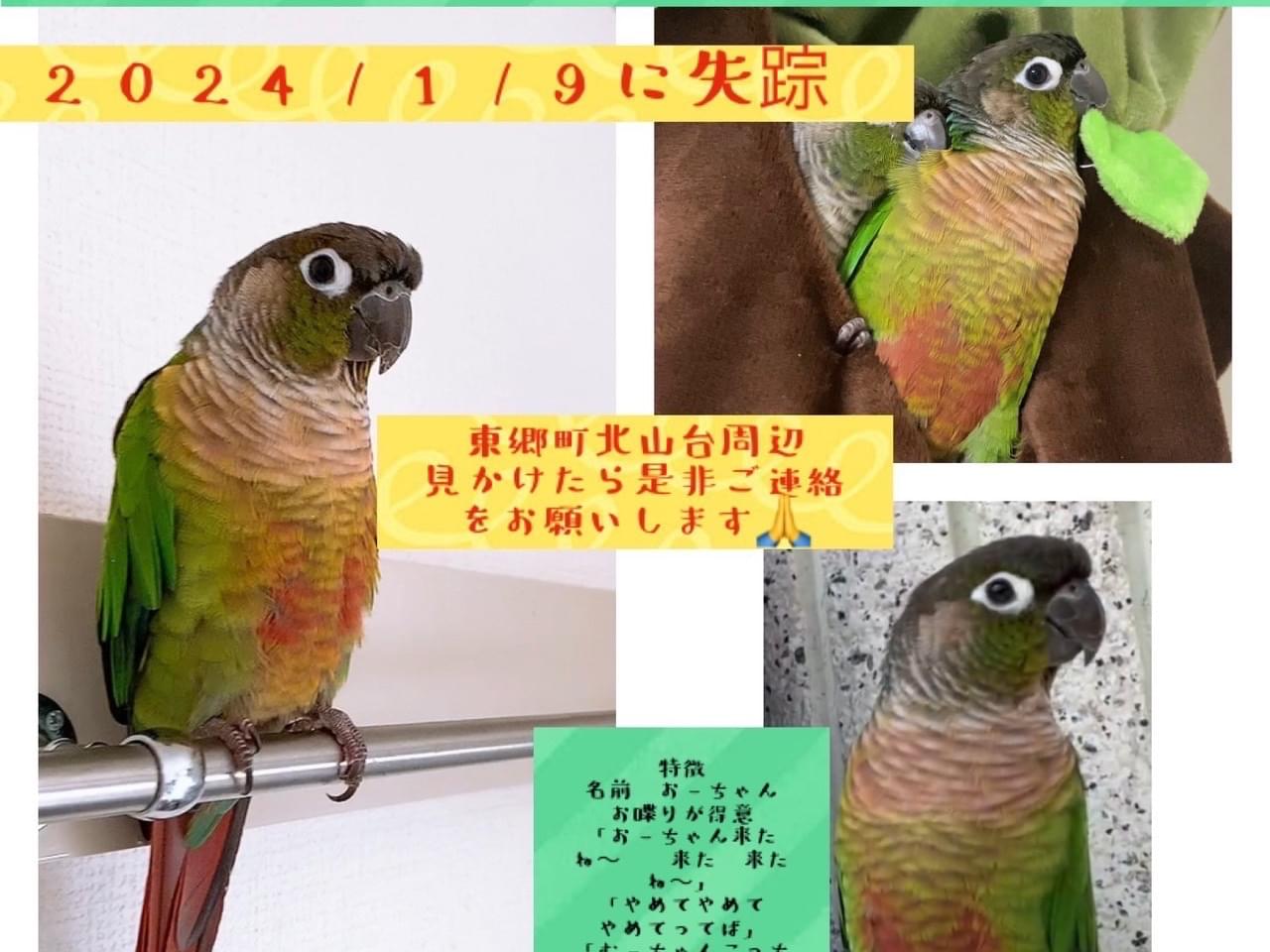 おーちゃん おーちゃん