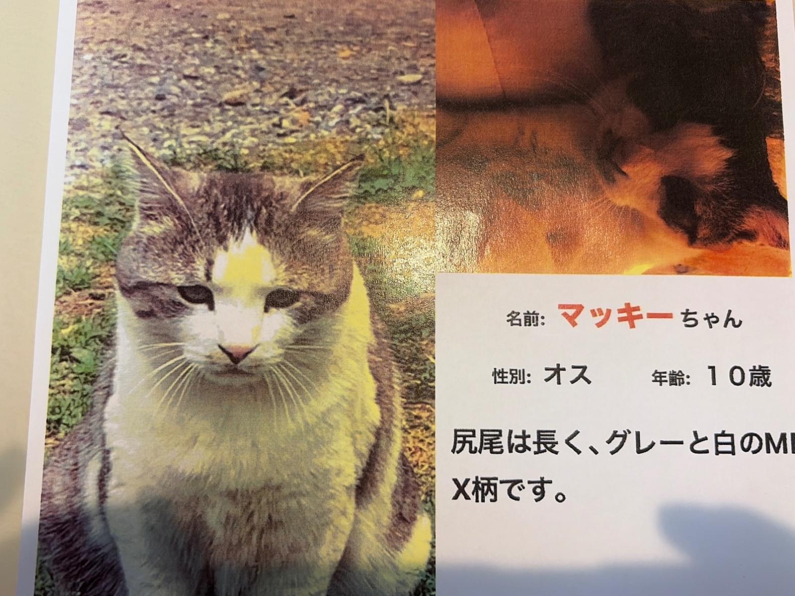 マッキーちゃん