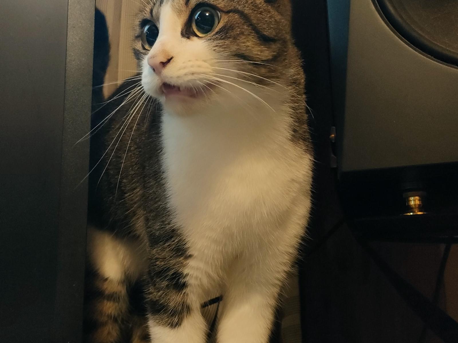 ソラちゃん