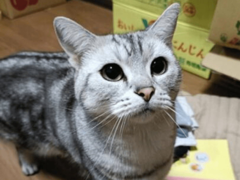 そらちゃん そらちゃん