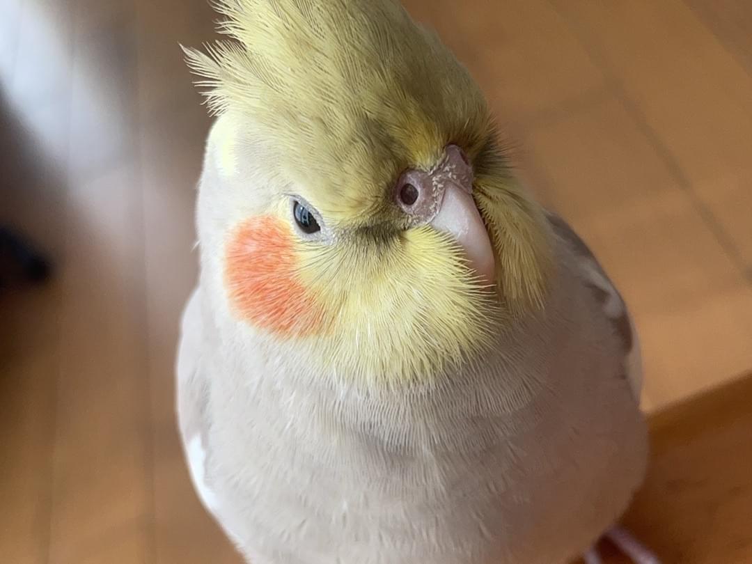 つむぎちゃん つむぎちゃん
