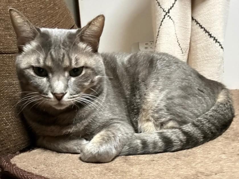 メイちゃん メイちゃん