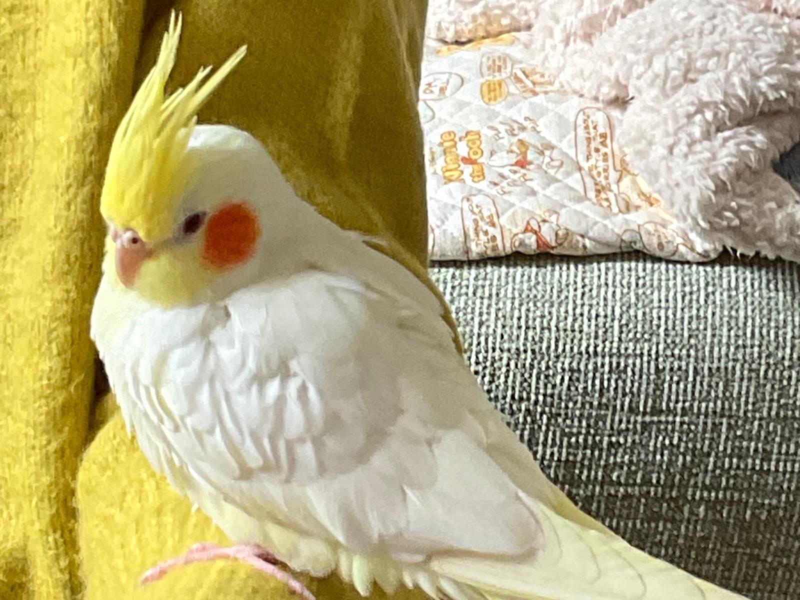はるちゃん はるちゃん