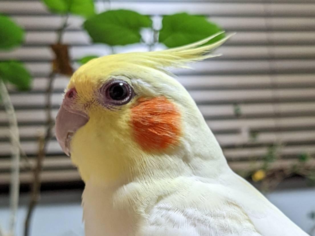 やまちゃん やまちゃん