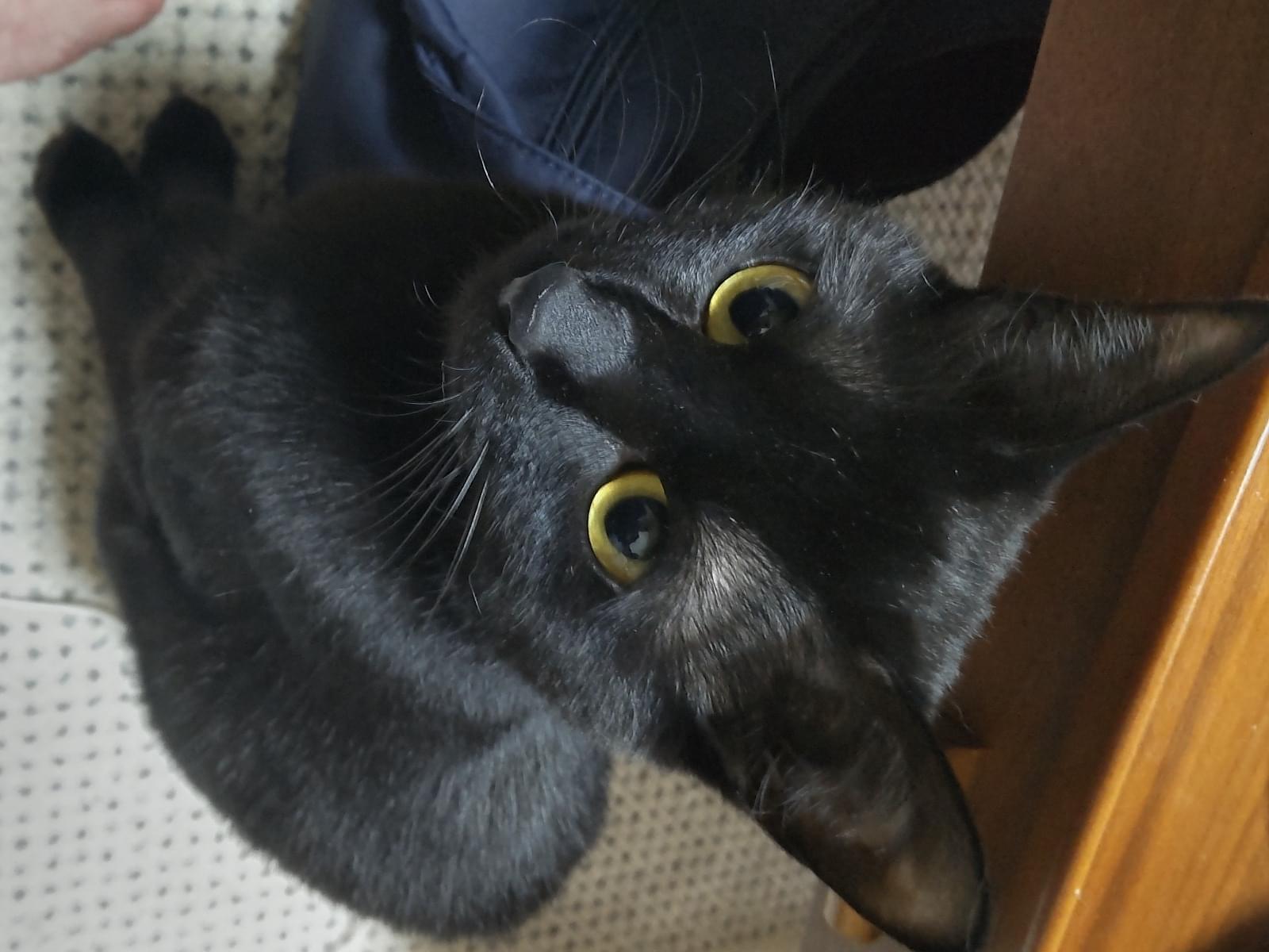 ケイちゃん ケイちゃん