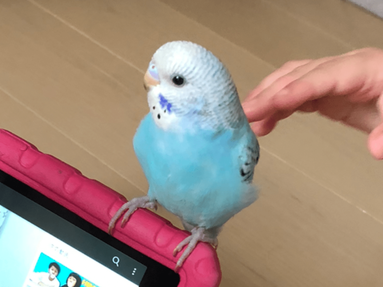 キキちゃん キキちゃん