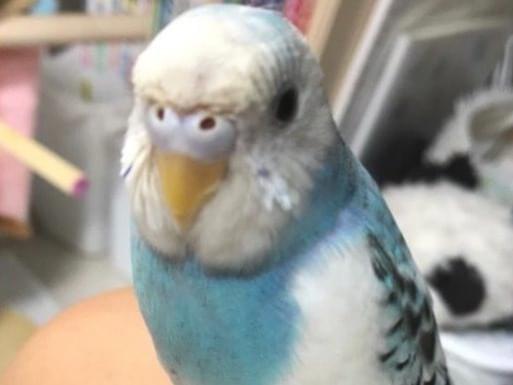 エルちゃん エルちゃん
