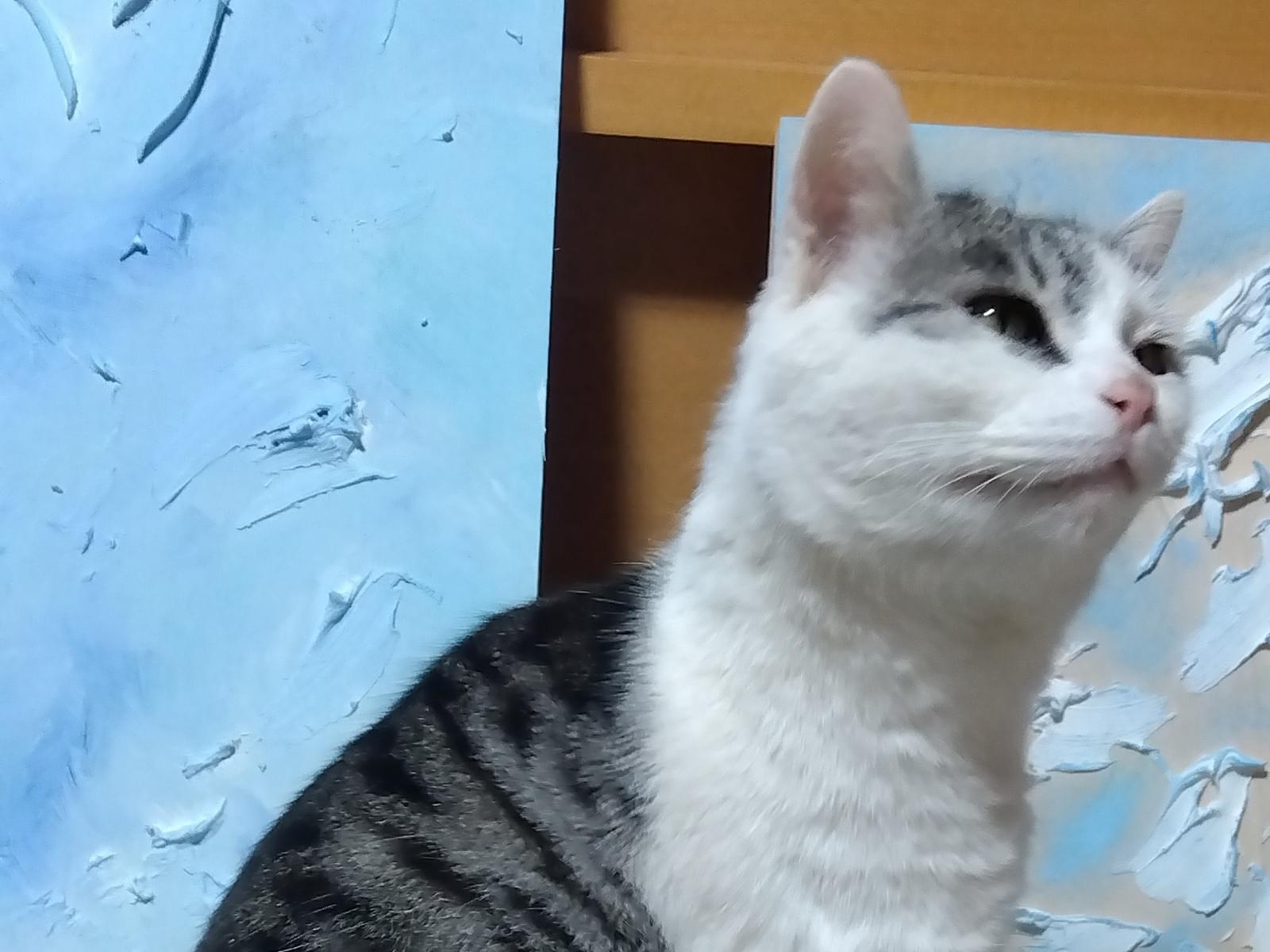 しまちゃん しまちゃん
