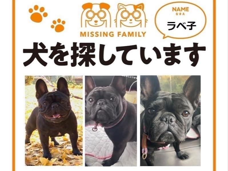 ラベンダーちゃん ラベンダーちゃん
