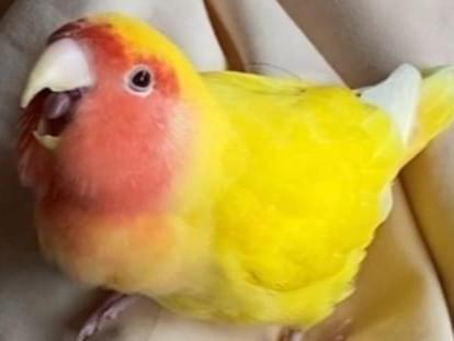 きーちゃん きーちゃん