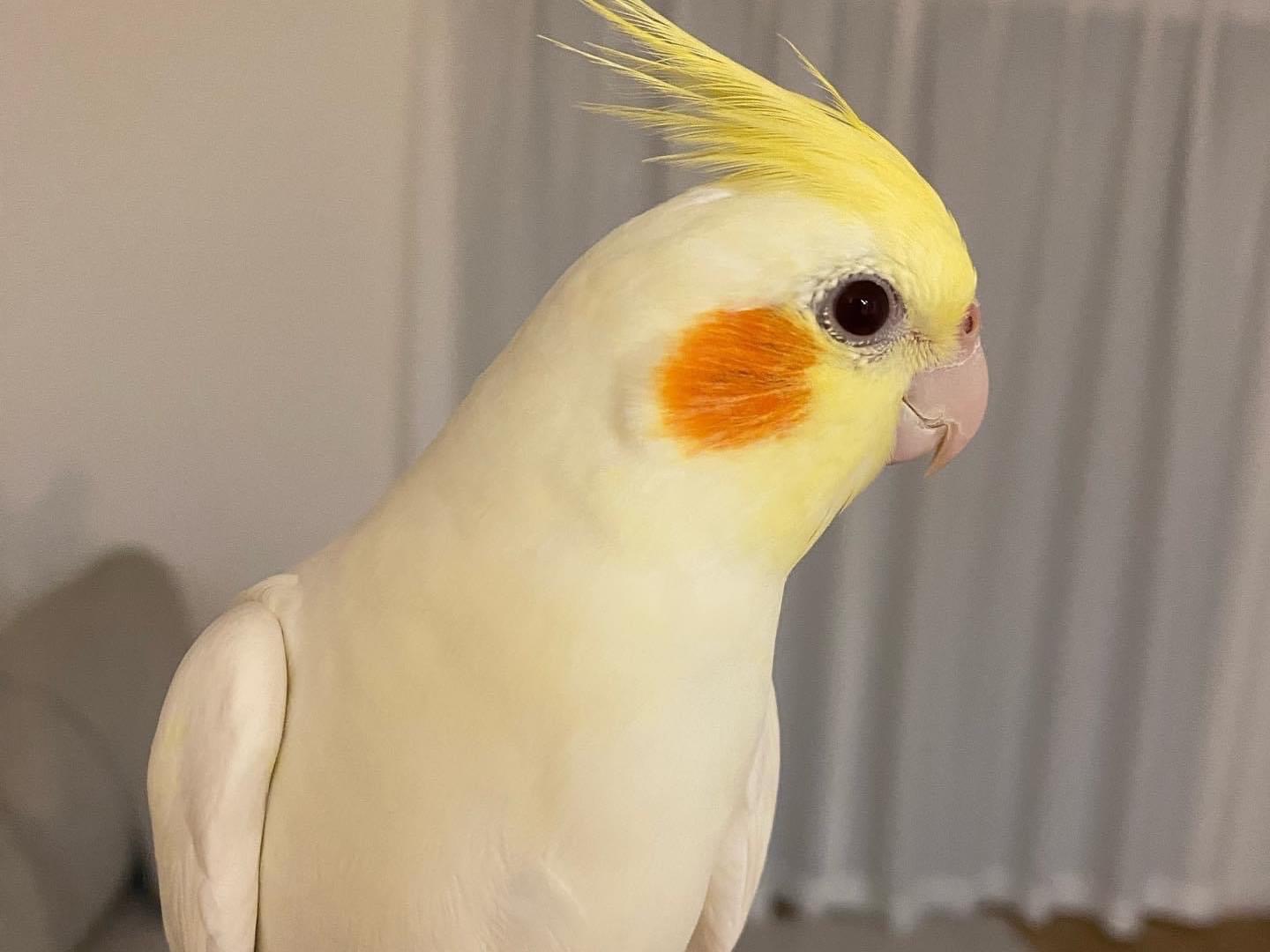 ソラちゃん ソラちゃん