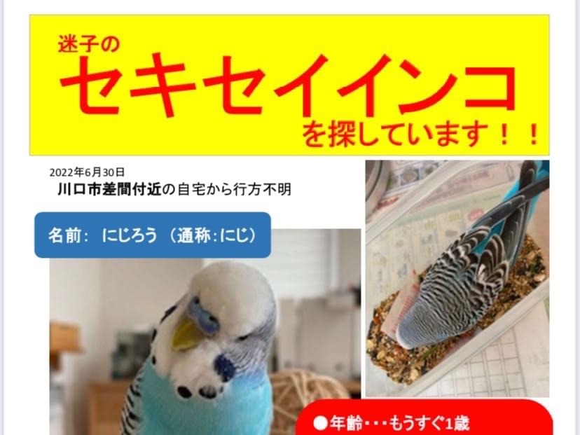 にじろうちゃん にじろうちゃん
