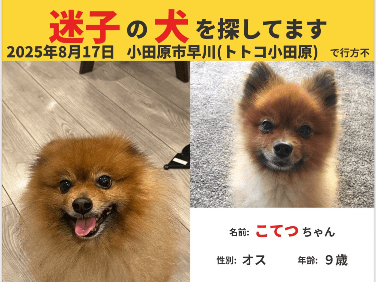 こてつちゃん こてつちゃん