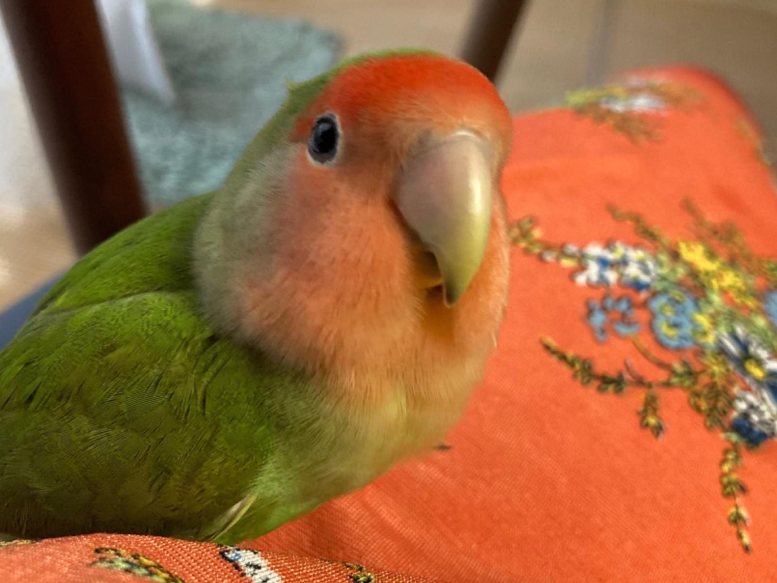キキちゃん キキちゃん
