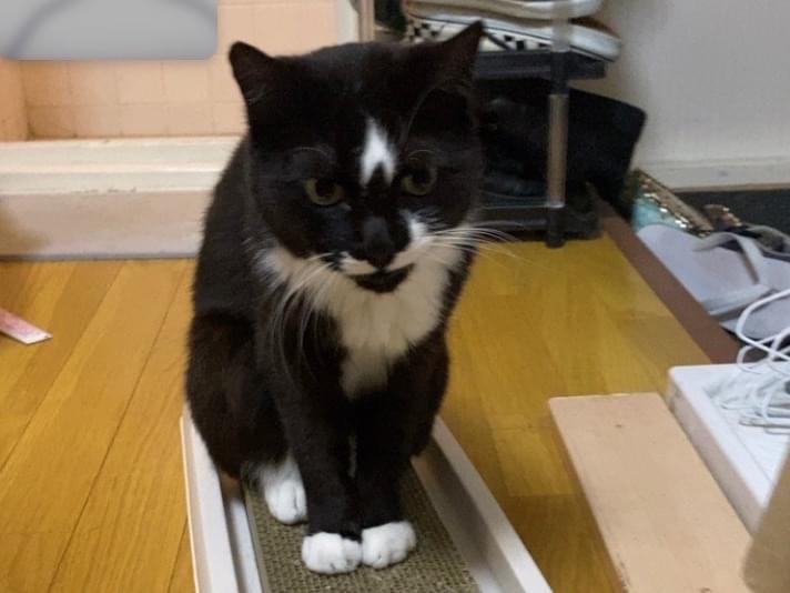ムーンちゃん ムーンちゃん