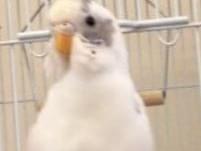 そらちゃん そらちゃん