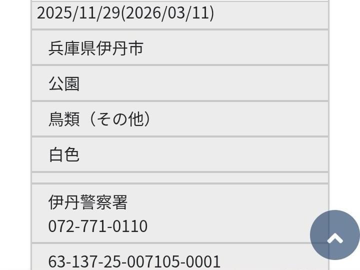 保護された鳥 保護された鳥