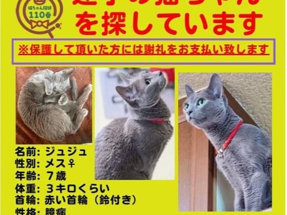 ジュジュちゃん ジュジュちゃん