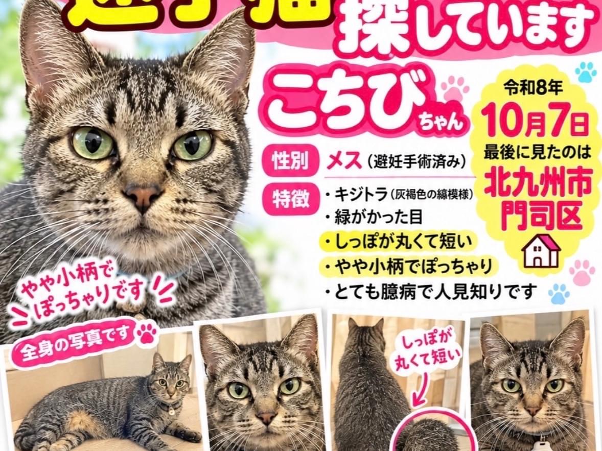 こちびさんちゃん
