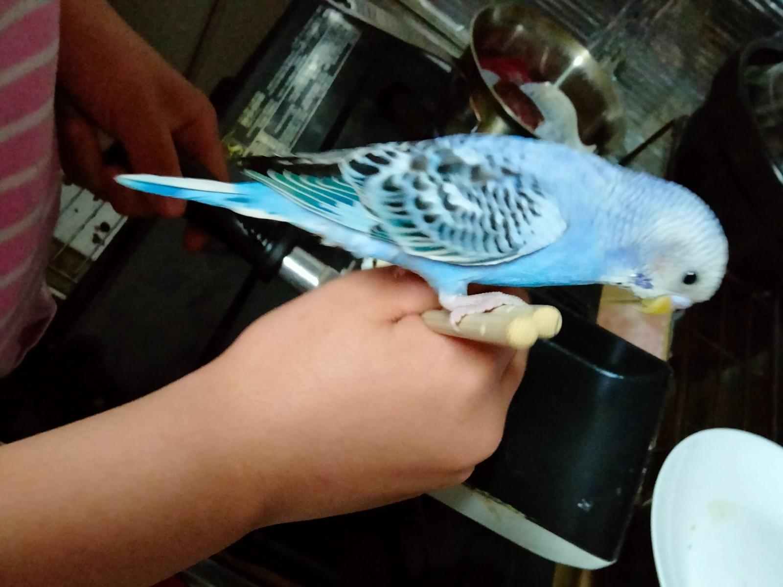ユウちゃん ユウちゃん