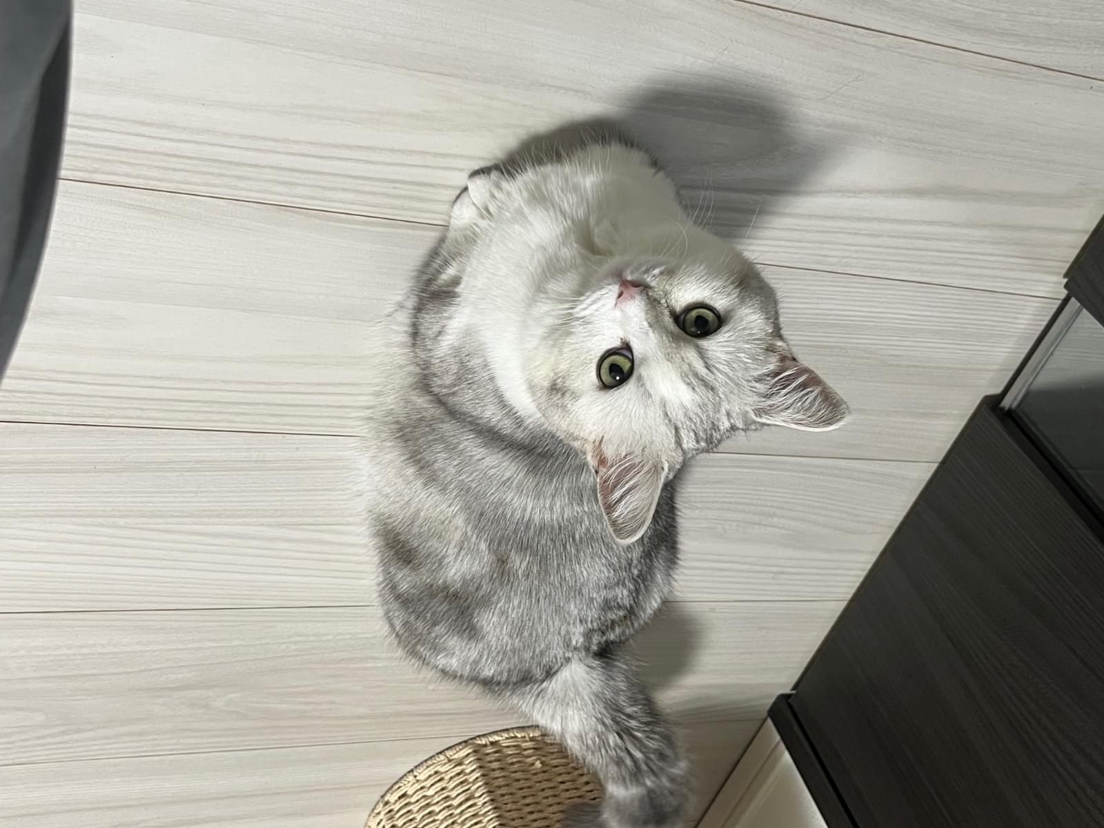 わかちゃん わかちゃん
