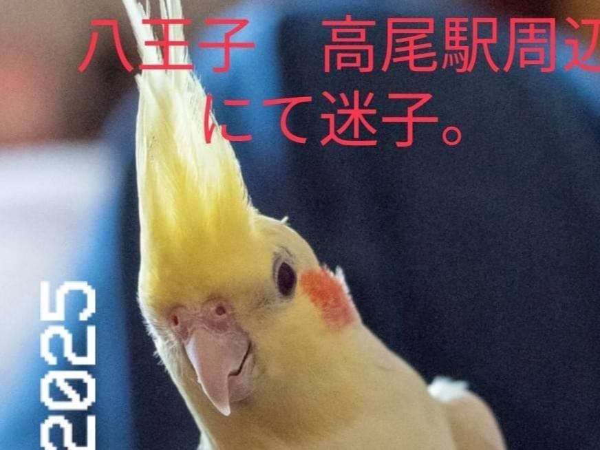くうちゃん くうちゃん