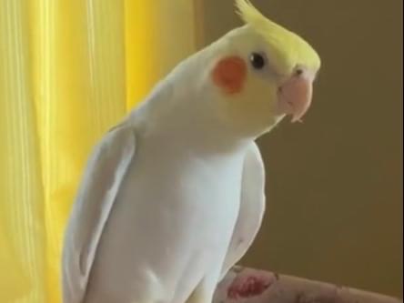 ゆめちゃん ゆめちゃん