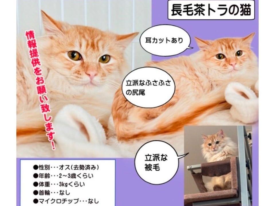 キムタクちゃん キムタクちゃん