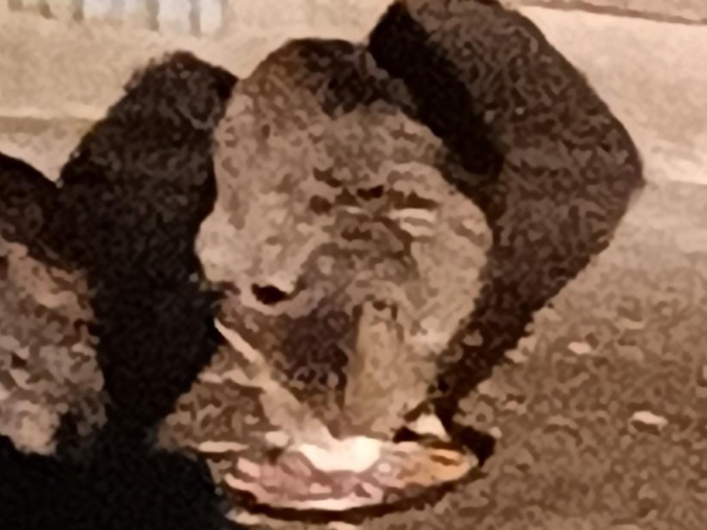 マミコちゃん マミコちゃん