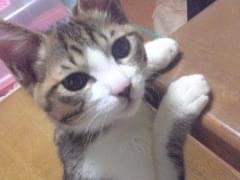 くぅちゃん くぅちゃん