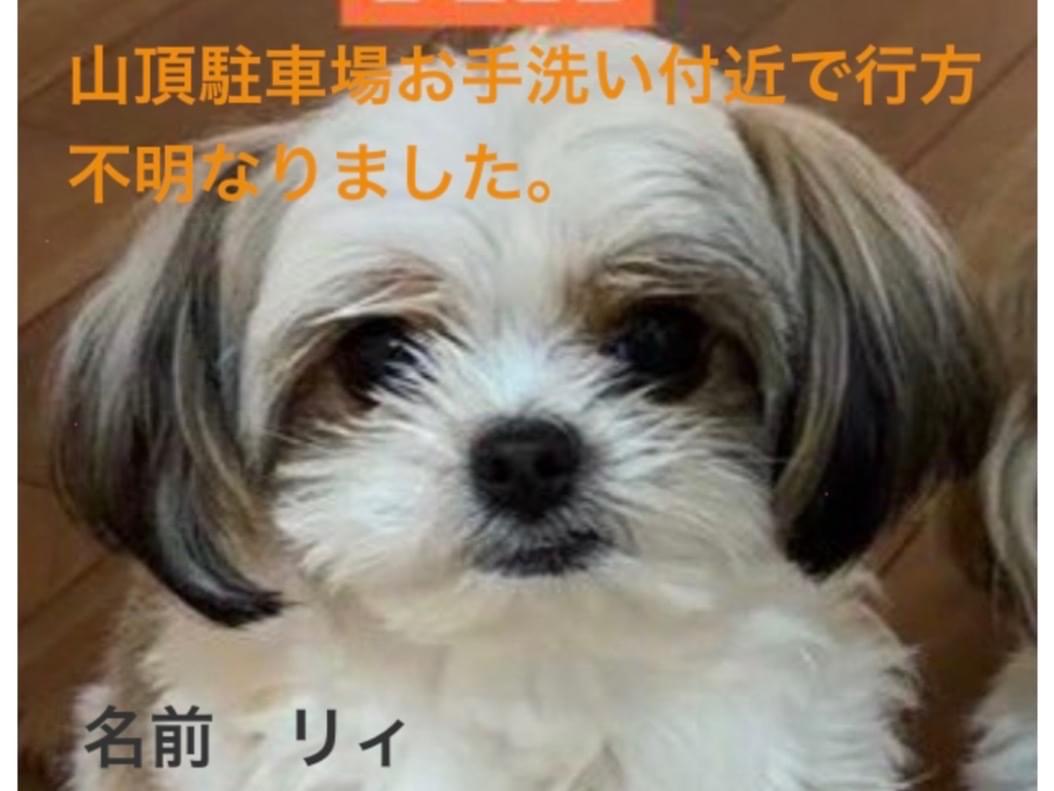 リィちゃん リィちゃん