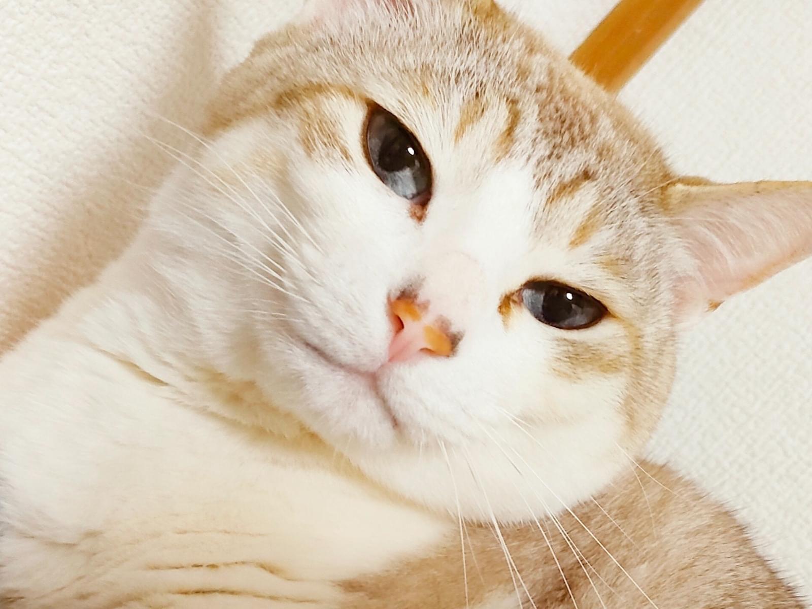 むーちゃん むーちゃん