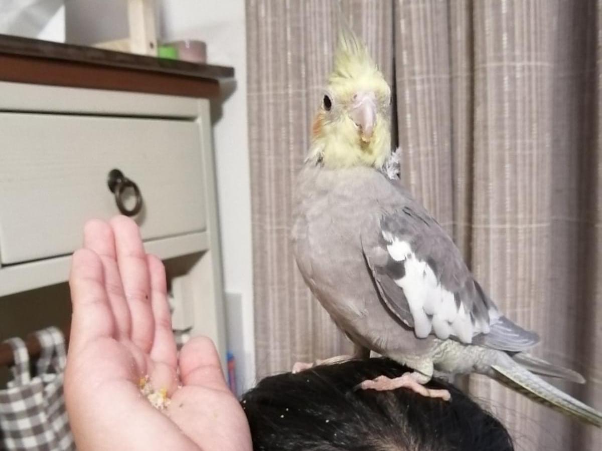 まるちゃん まるちゃん