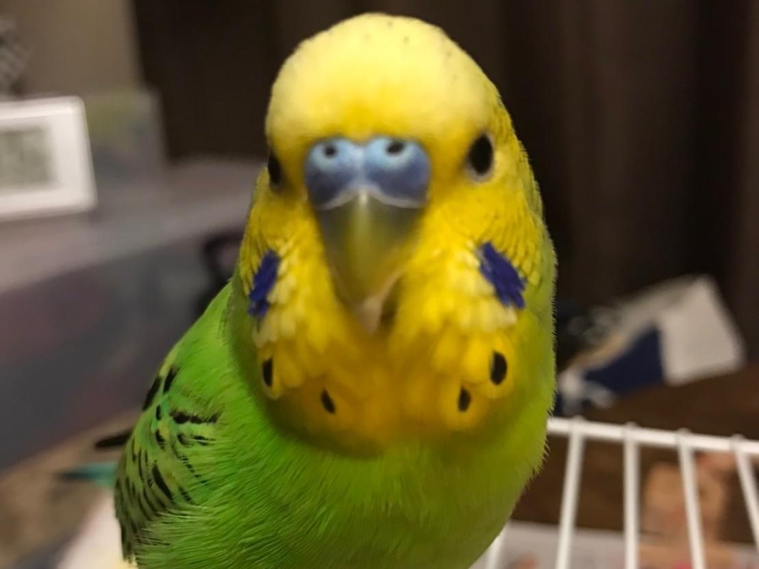 メイちゃん メイちゃん