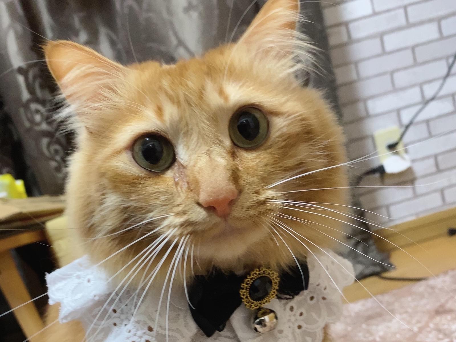 セナちゃん セナちゃん